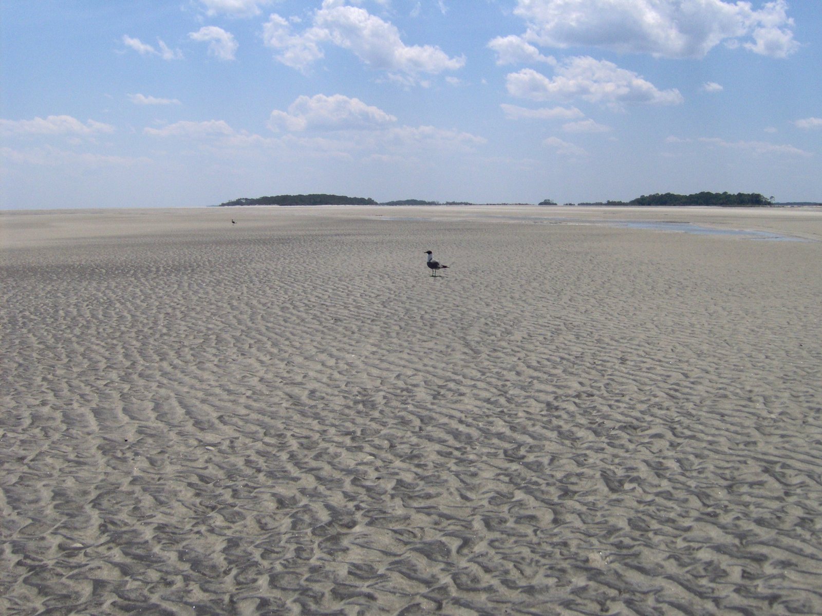 South Point Beach at the south end of Tybee Island at low tide, with Little Tybee in the distance